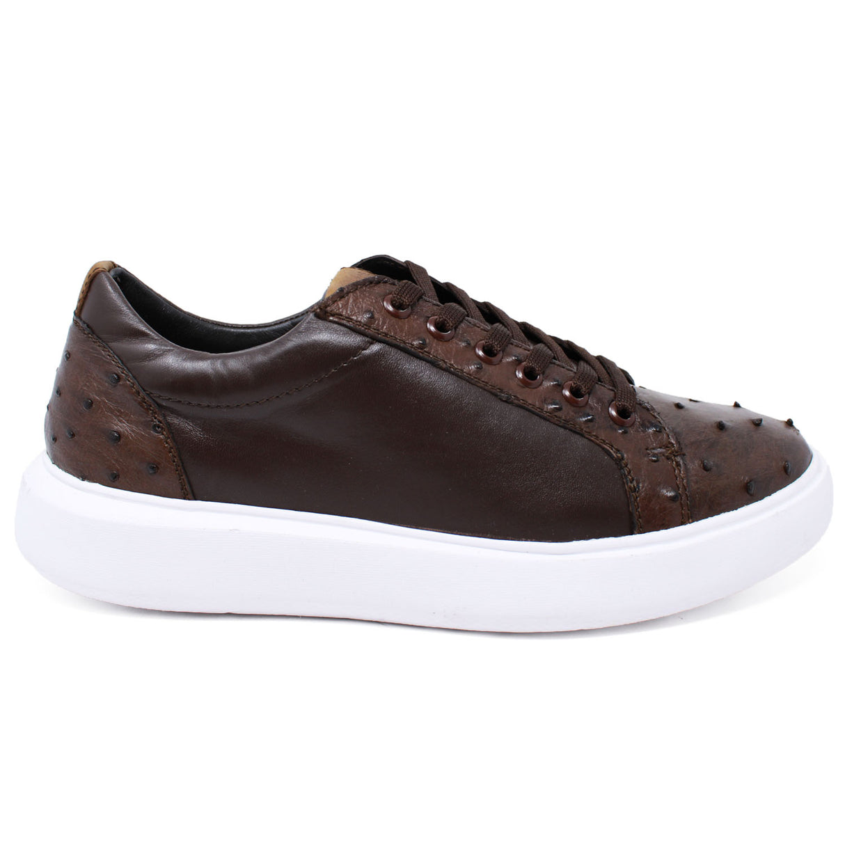Genuine Ostrich Skin Sneakers - Brown