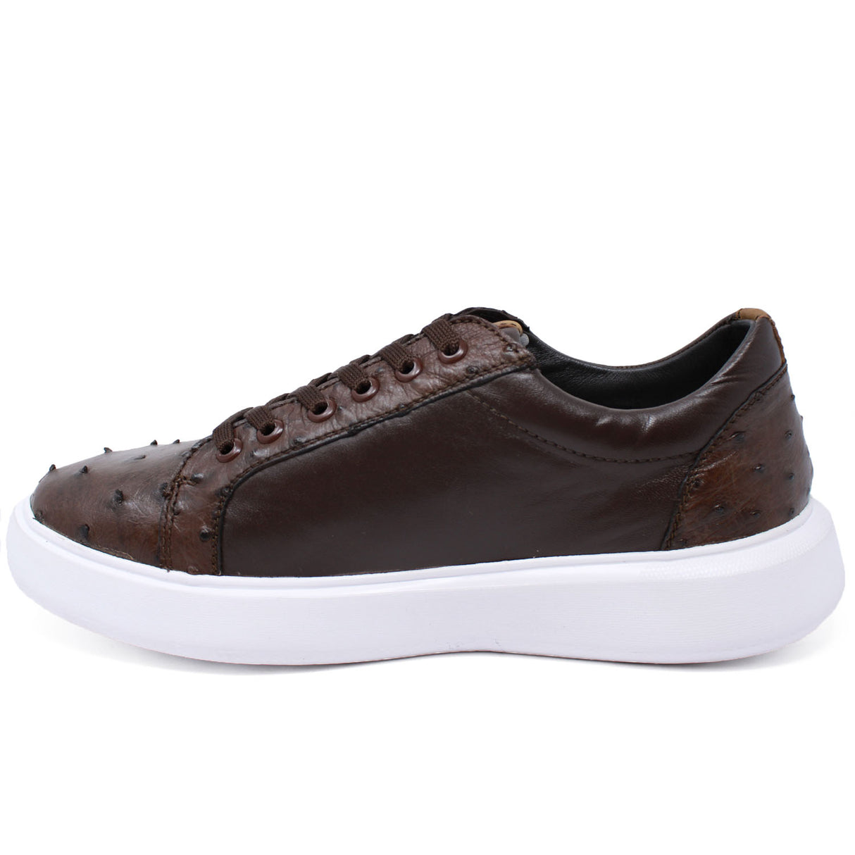 Genuine Ostrich Skin Sneakers - Brown