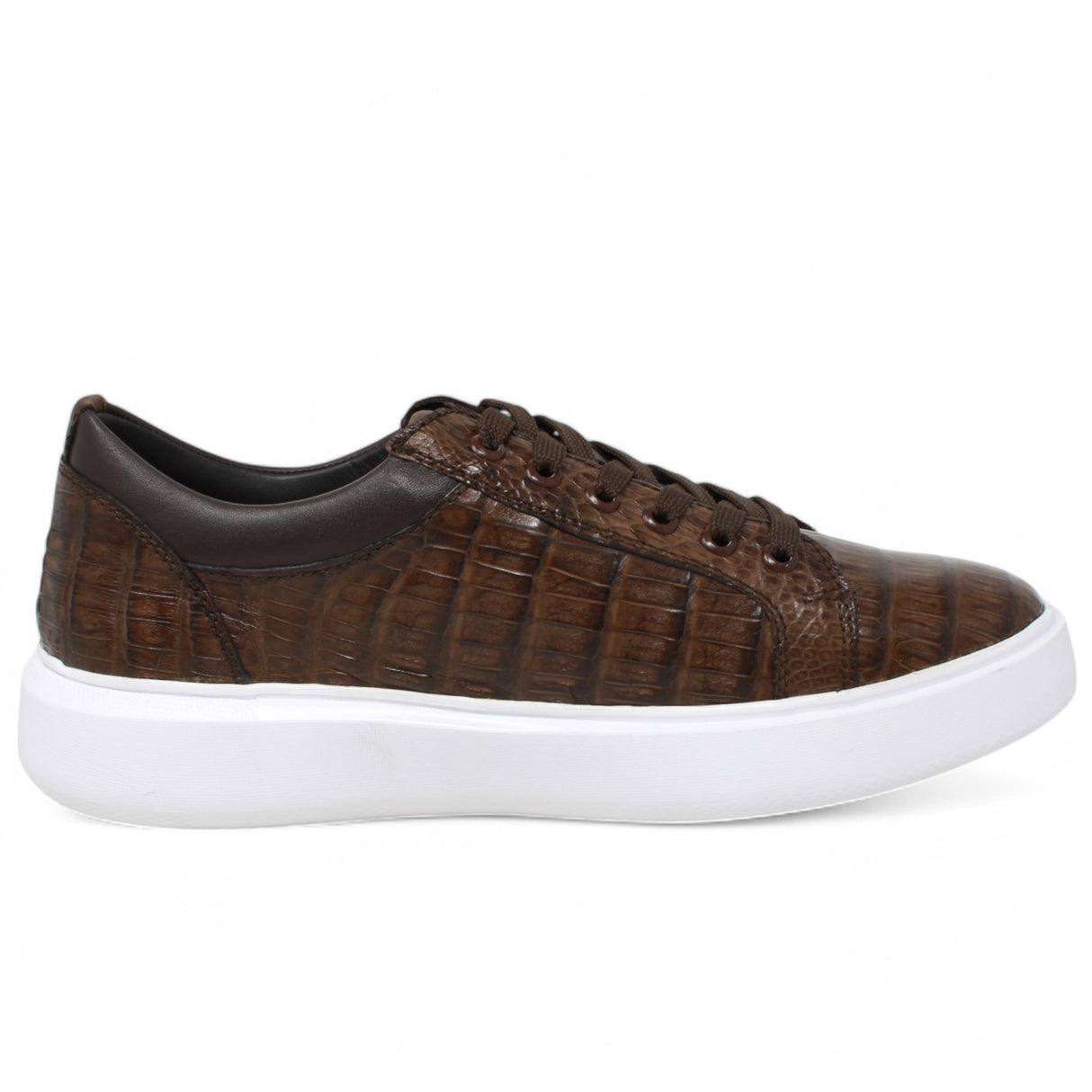 Genuine Full Caiman Belly Skin Sneakers - Brown