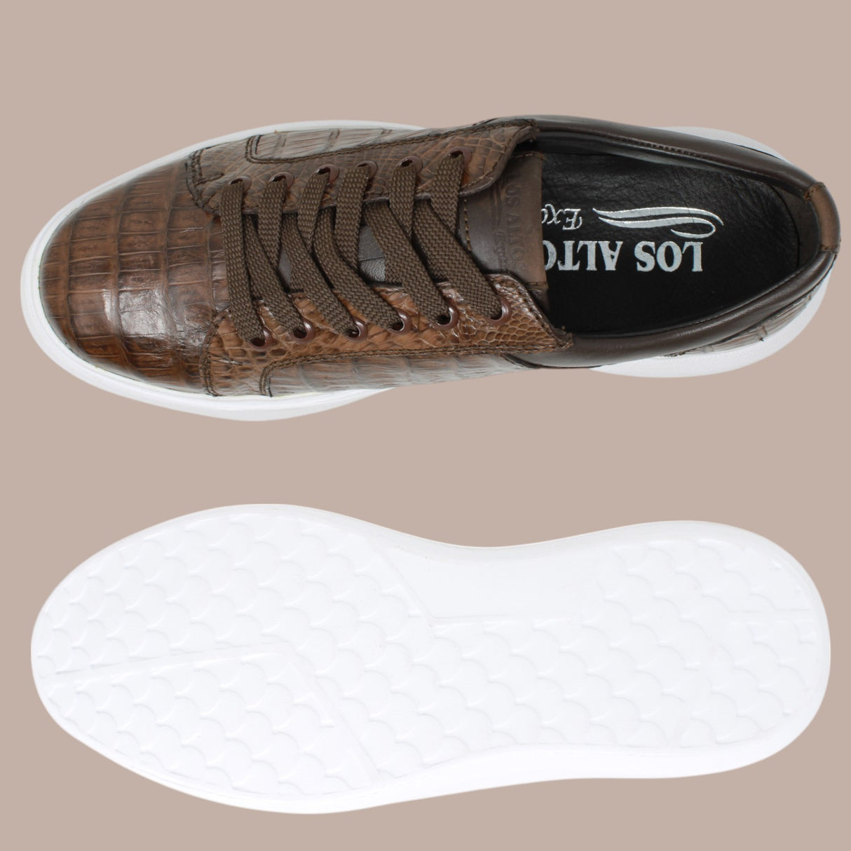 Genuine Full Caiman Belly Skin Sneakers - Brown