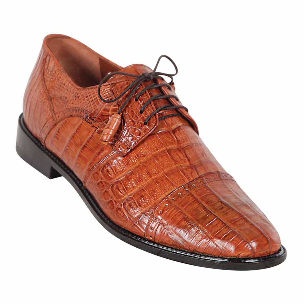 Genuine Caiman Belly Skin Oxford Dress Shoes - Cognac