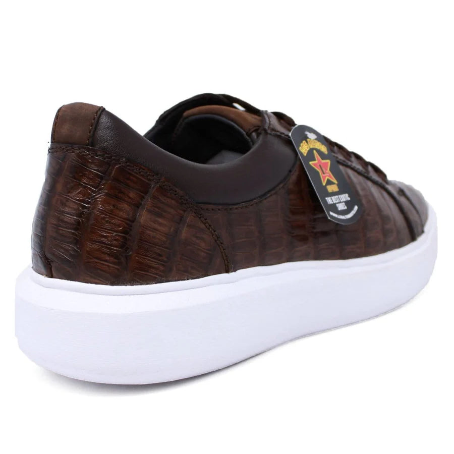 Genuine Full Caiman Belly Skin Sneakers - Brown
