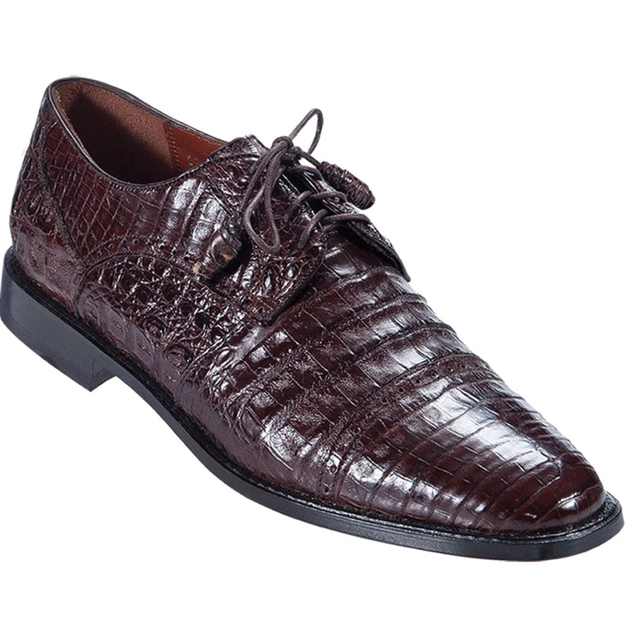 Genuine Caiman Belly Skin Oxford Dress Shoes - Brown