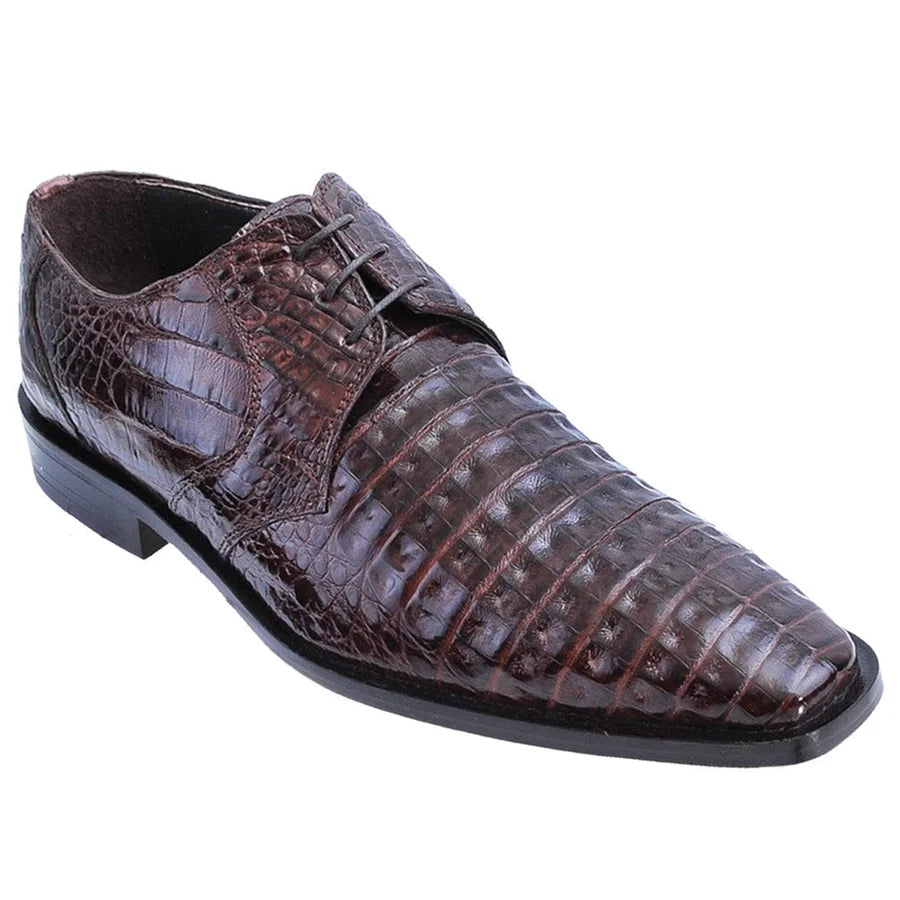Genuine Caiman Belly Skin Dress Shoes - Brown