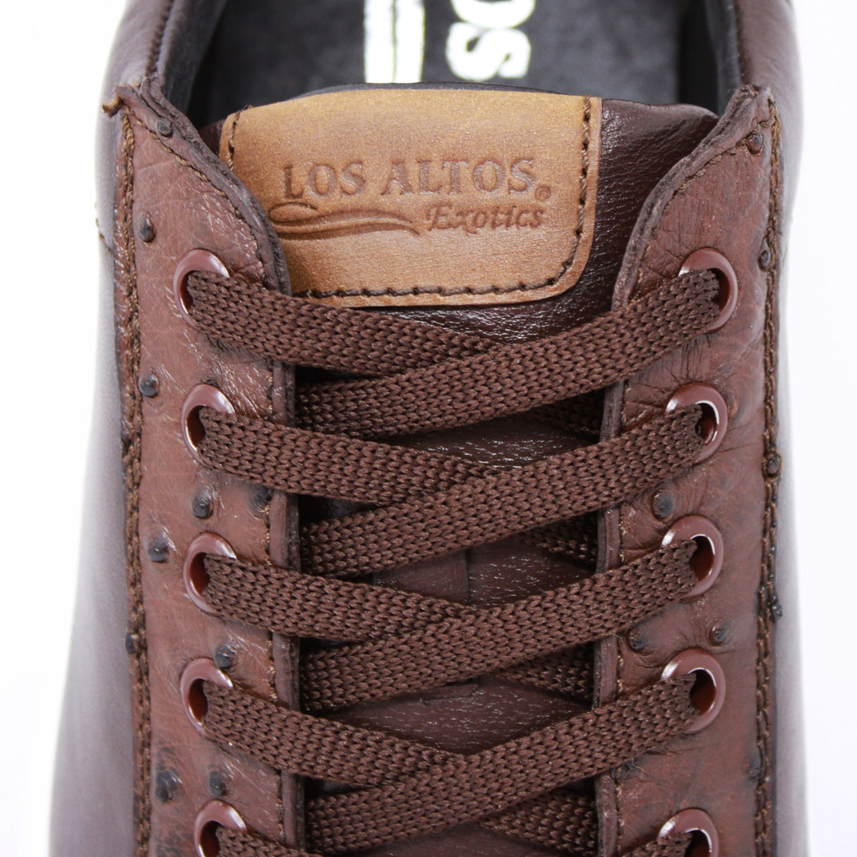 Genuine Ostrich Skin Sneakers - Brown