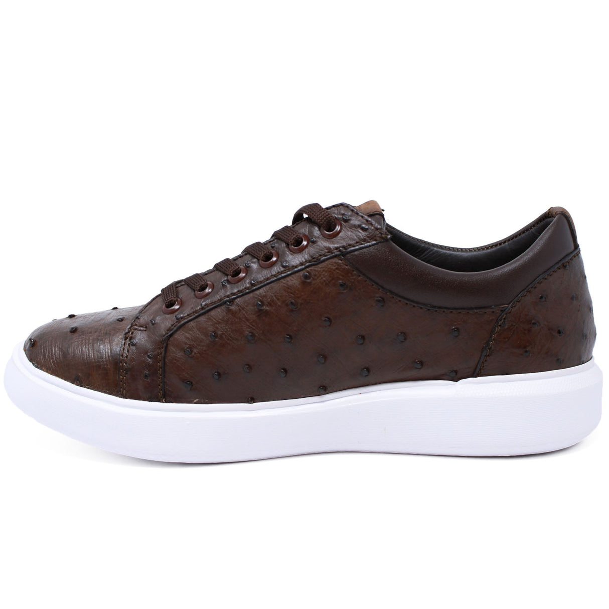 Genuine Full Quill Ostrich Skin Sneakers - Brown
