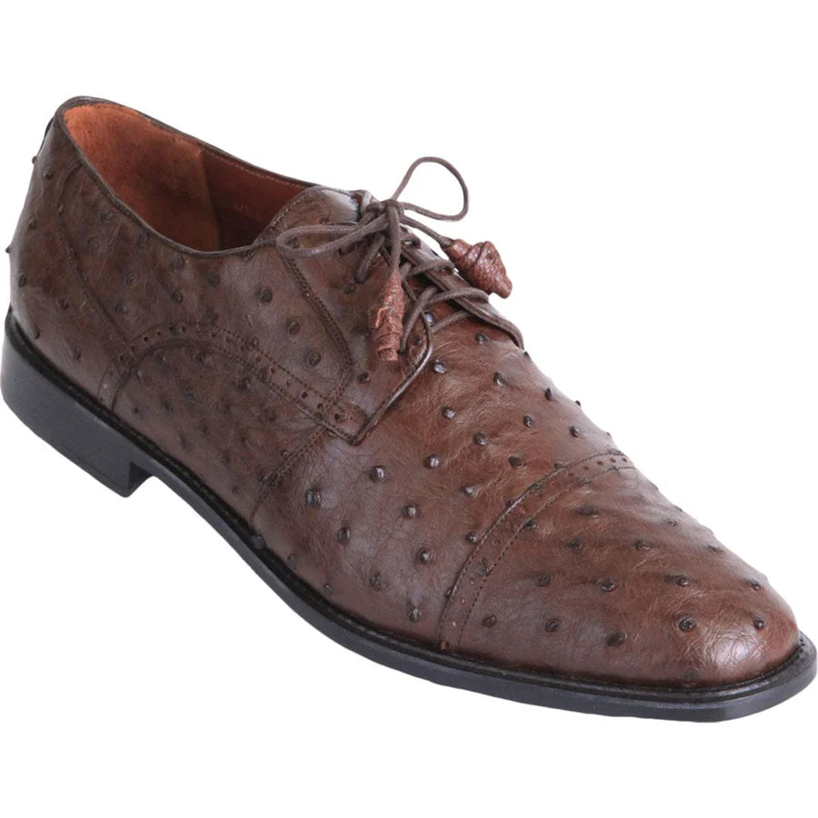 Genuine Full Quill Ostrich Skin Oxford Dress Shoes - Brown